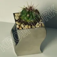 S Chrome Mini Cactus Pot 6cm×6cm×8,5 cm - Image 2
